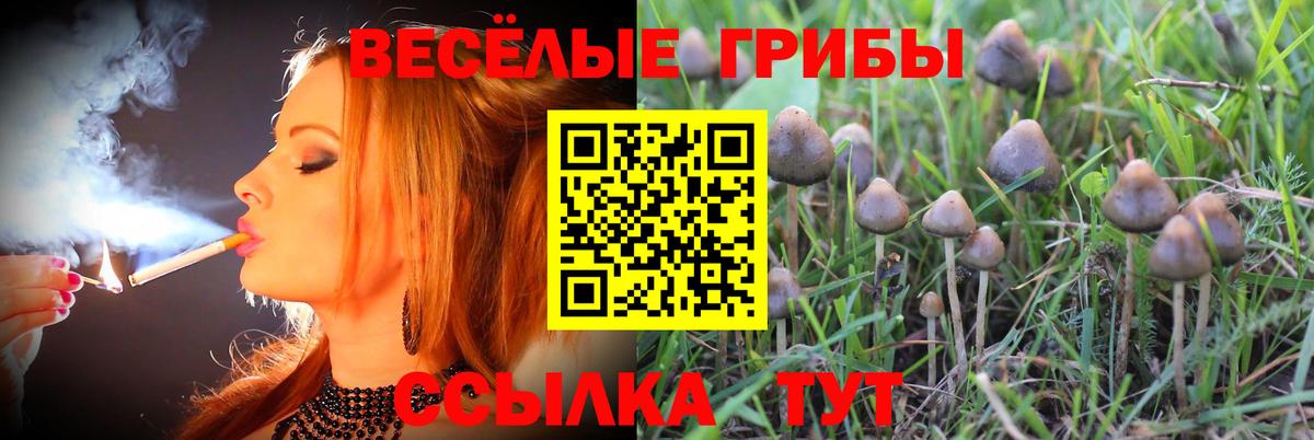 Галлюциногенные грибы прущие грибы Златоуст